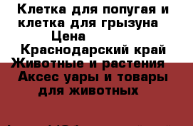 Клетка для попугая и клетка для грызуна › Цена ­ 4 300 - Краснодарский край Животные и растения » Аксесcуары и товары для животных   